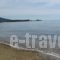 Pension Karvounoskala_holidays_in_Hotel_Macedonia_Halkidiki_Chalkidiki Area