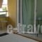 Villa Sophia_best deals_Villa_Epirus_Preveza_Mytikas