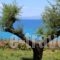 Avia_travel_packages_in_Thessaly_Magnesia_Koropi