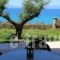 Avia_best deals_Hotel_Thessaly_Magnesia_Koropi