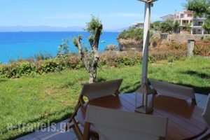 Avia_holidays_in_Hotel_Thessaly_Magnesia_Koropi
