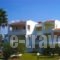 Byron Apartments_accommodation_in_Apartment_Dodekanessos Islands_Kos_Kos Rest Areas