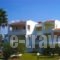 Byron Apartments_accommodation_in_Apartment_Dodekanessos Islands_Kos_Kos Rest Areas