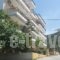 Anemos Studios_holidays_in_Hotel_Central Greece_Evia_Edipsos