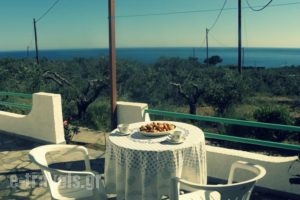 Studios Crete_accommodation_in_Hotel_Crete_Lasithi_Ierapetra