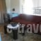 Studios Crete_best deals_Hotel_Crete_Lasithi_Ierapetra