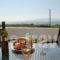 Magic Land_best deals_Hotel_Cyclades Islands_Naxos_Mikri Vigla