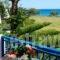 Albatross Holiday Apartments_accommodation_in_Apartment_Cyclades Islands_Syros_Vari