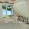 Albatross Holiday Apartments_best prices_in_Apartment_Cyclades Islands_Syros_Vari