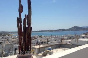 Mama'S Rooms_best deals_Room_Cyclades Islands_Naxos_Naxos chora