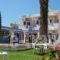 Sirena Apartments_travel_packages_in_Crete_Heraklion_Ammoudara