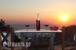 Voulias_s __1