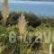 Niriides Resort_best prices_in_Hotel_Peloponesse_Lakonia_Gythio
