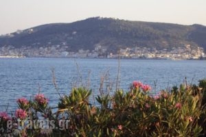 Niriides Resort_best deals_Hotel_Peloponesse_Lakonia_Gythio