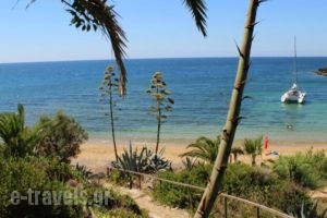 Dionisis Apartments_accommodation_in_Apartment_Ionian Islands_Kefalonia_Kefalonia'st Areas