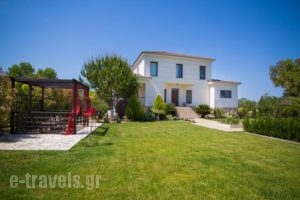 Villa Komfort_travel_packages_in_Ionian Islands_Zakinthos_Zakinthos Rest Areas