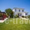 Villa Komfort_travel_packages_in_Ionian Islands_Zakinthos_Zakinthos Rest Areas