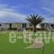 Anemones Studios_accommodation_in_Hotel_Cyclades Islands_Paros_Paros Chora