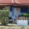 Beatehouses_lowest prices_in_Hotel_Ionian Islands_Zakinthos_Laganas