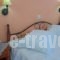 Studios Zafiri_lowest prices_in_Hotel_Cyclades Islands_Naxos_Naxos chora