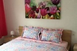 Nitsa Rooms_s __1