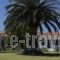 Pavlimari Studios_travel_packages_in_Aegean Islands_Lesvos_Plomari