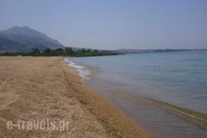 Sani Kasimis_lowest prices_in_Hotel_Thessaly_Magnesia_Pilio Area
