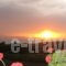 Aronis_holidays_in_Hotel_Cyclades Islands_Naxos_Naxos chora