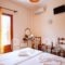 Mr. Greek Villa_best prices_in_Villa_Aegean Islands_Lesvos_Petra