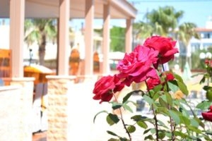 Palladion_best deals_Hotel_Crete_Rethymnon_Rethymnon City