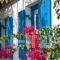 Porto Kalma_travel_packages_in_Cyclades Islands_Tinos_Tinosora