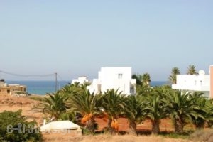 Sunshine Apartments_travel_packages_in_Crete_Heraklion_Malia