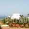 Sunshine Apartments_travel_packages_in_Crete_Heraklion_Malia