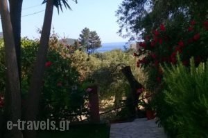 Bozikis Apartments & Studios_travel_packages_in_Ionian Islands_Corfu_Palaeokastritsa