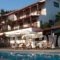 Angelina Studios_accommodation_in_Hotel_Sporades Islands_Skiathos_Skiathoshora