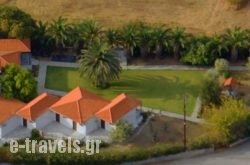Pavlimari Studios_s __1