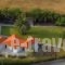 Pavlimari Studios_accommodation_in_Hotel_Aegean Islands_Lesvos_Plomari