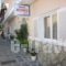 Hotel Australia_accommodation_in_Hotel_Sporades Islands_Skiathos_Skiathos Chora