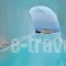 Lava Caves_accommodation_in_Hotel_Cyclades Islands_Sandorini_Sandorini Rest Areas