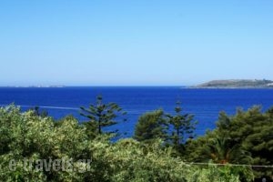 Oskars Studios_holidays_in_Hotel_Ionian Islands_Kefalonia_Argostoli