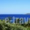 Oskars Studios_holidays_in_Hotel_Ionian Islands_Kefalonia_Argostoli