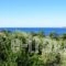 Oskars Studios_best deals_Hotel_Ionian Islands_Kefalonia_Argostoli