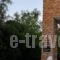 Zorbas Rooms_accommodation_in_Room_Cyclades Islands_Ios_Ios Chora