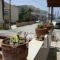 Pension Kyriakos_lowest prices_in_Hotel_Crete_Rethymnon_Plakias