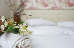 Hotel Viky_s __1