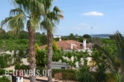 Villa The Rose_s __1