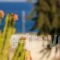 Nicos Studios & Apartments_travel_packages_in_Cyclades Islands_Paros_Paros Chora
