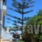 Ermioni Apartments_lowest prices_in_Apartment_Crete_Chania_Daratsos