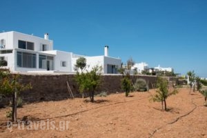 Villa Golden View_best prices_in_Villa_Cyclades Islands_Antiparos_Antiparos Chora