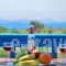 Summer Memories Studios_best deals_Hotel_Cyclades Islands_Naxos_Naxos chora